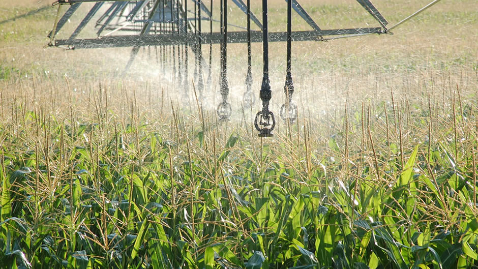 Redes de riego Redes de riego